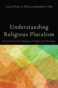 bokomslag Understanding Religious Pluralism