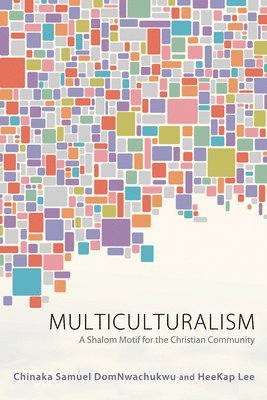 Chinaka S Domnwachukwu, Heekap Lee, Chinaka S. Domnwachukwu, Chinaka S. DomNwachukwu, HeeKap Lee - Multiculturalism, Häftad