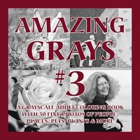 bokomslag Amazing Grays #3