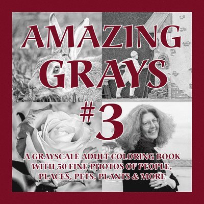 Amazing Grays #3 1
