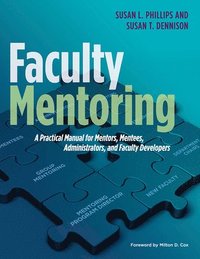 bokomslag Faculty Mentoring