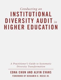 bokomslag Conducting an Institutional Diversity Audit in Higher Education