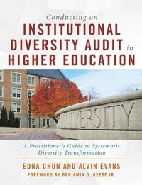 bokomslag Conducting an Institutional Diversity Audit in Higher Education