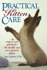 bokomslag Practical Kitten Care