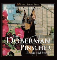 bokomslag The Doberman Pinscher