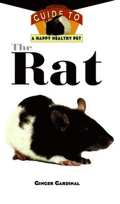 Ginger Cardinal - Rat, Inbunden