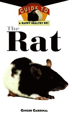 The Rat 1
