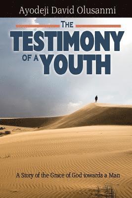bokomslag Testimony of a Youth