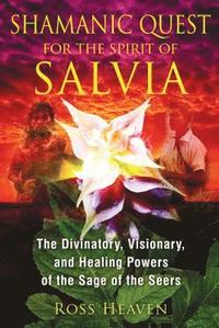 bokomslag Shamanic Quest for the Spirit of Salvia