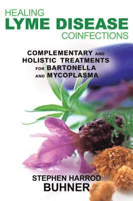 bokomslag Healing Lyme Disease Coinfections