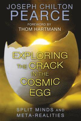 Exploring the Crack in the Cosmic Egg 1
