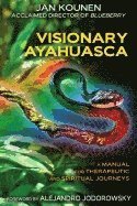 bokomslag Visionary Ayahuasca