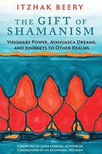bokomslag Gift of Shamanism