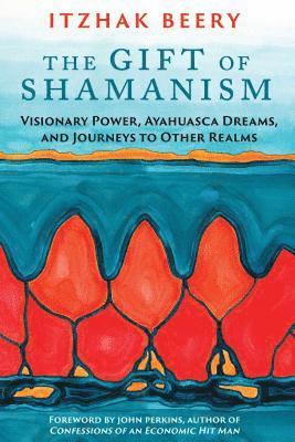 bokomslag Gift of Shamanism