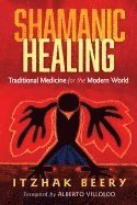 bokomslag Shamanic Healing