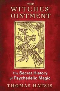 bokomslag Witches' Ointment