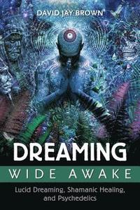 bokomslag Dreaming Wide Awake