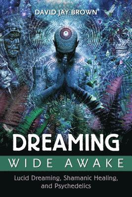 Dreaming Wide Awake 1