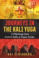 bokomslag Journeys in the Kali Yuga
