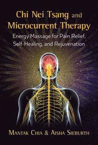 bokomslag Chi Nei Tsang and Microcurrent Therapy