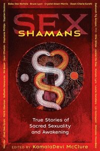 bokomslag Sex Shamans
