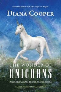 bokomslag The Wonder of Unicorns