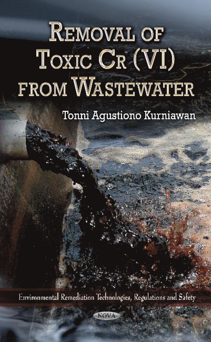 Tonni Agustiono Kurniawan - Removal of Toxic Cr(VI) from Wastewater, Inbunden
