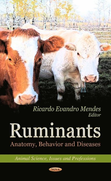 bokomslag Ruminants