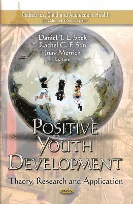 bokomslag Positive Youth Development