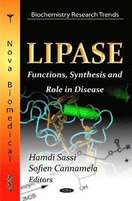 Lipase 1