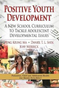 bokomslag Positive Youth Development
