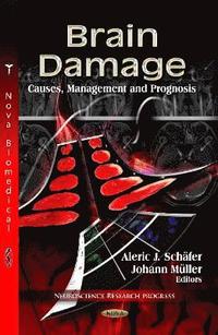 bokomslag Brain Damage