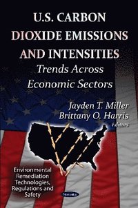 bokomslag U.S Carbon Dioxide Emissions & Intensities