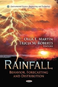 bokomslag Rainfall