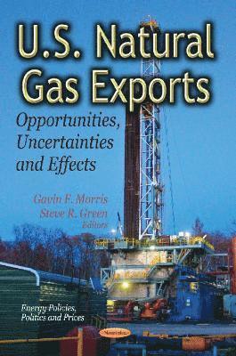 bokomslag U.S. Natural Gas Exports