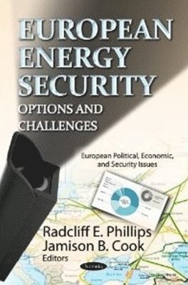 bokomslag European Energy Security