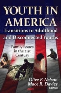 bokomslag Youth in America