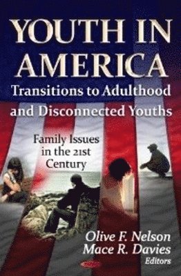 bokomslag Youth in America