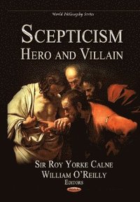 bokomslag Scepticism