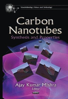 bokomslag Carbon Nanotubes