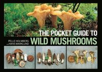 bokomslag The Pocket Guide to Wild Mushrooms