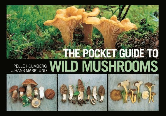 The Pocket Guide to Wild Mushrooms 1