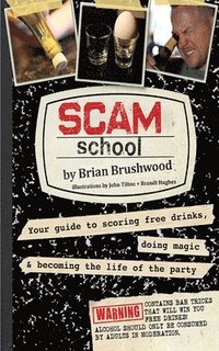 bokomslag Scam School