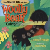 bokomslag Secret Life of the Woolly Bear Caterpillar