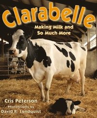 bokomslag Clarabelle