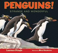 bokomslag Penguins Strange and Wonderful