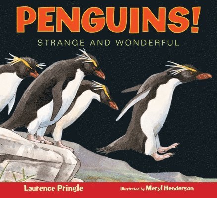 Penguins Strange and Wonderful 1