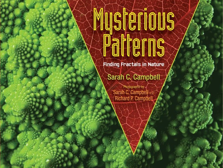 Sarah C. Campbell - Mysterious Patterns, Inbunden