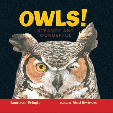 bokomslag Owls!