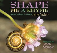 bokomslag Shape Me a Rhyme